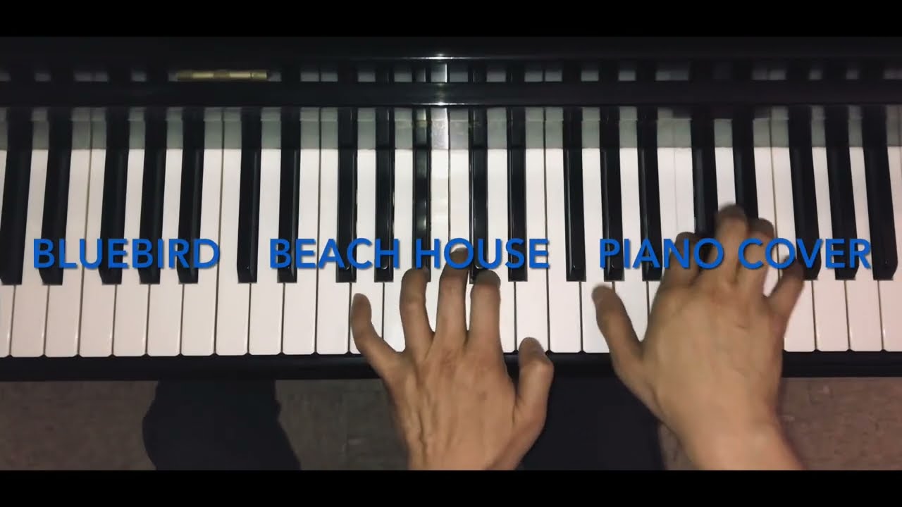 Bluebird by BEACH HOUSE piano cover