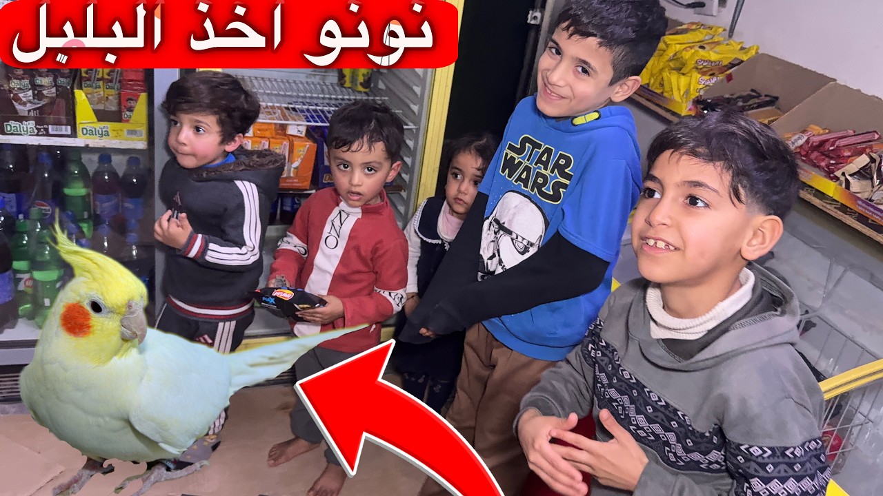 صارت مشكلة على البلابل شوفو المن انطيتهن