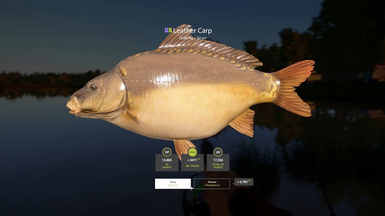 RF4 Fresh Spot / Carp Farm no PVA / Karp / Amber Lake 08.07.2025