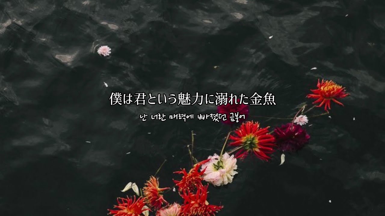 Kaution - ed / 和訳