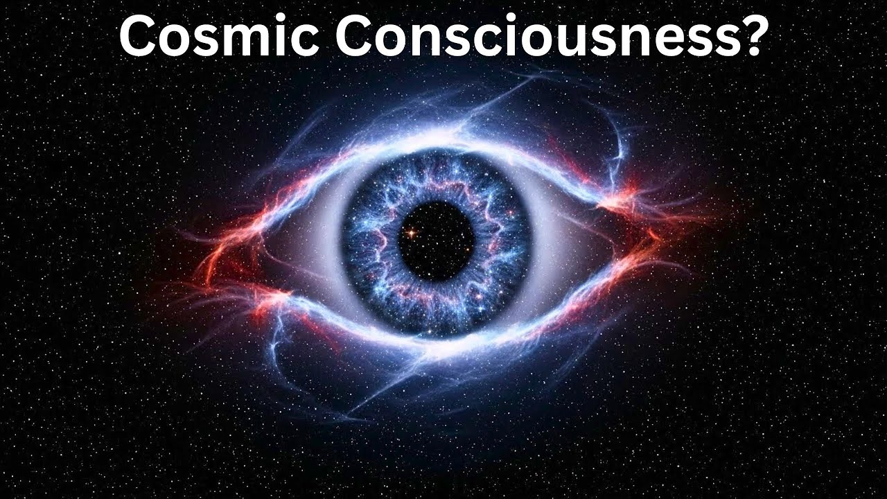 If the Universe Is Alive, What Is Its Consciousness?