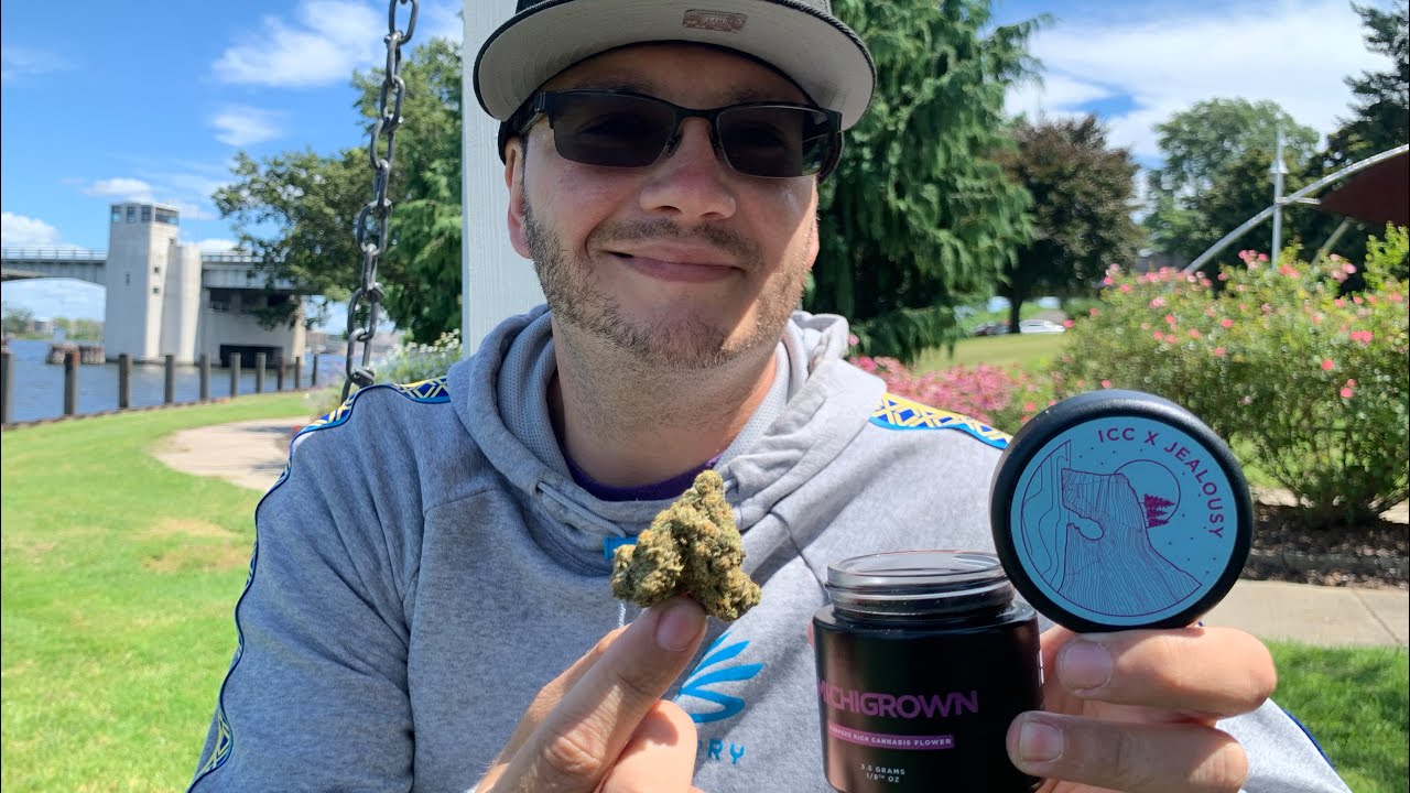 Michigrown Ice Cream Cake x Jealousy Strain Review Ft. Authentic 231 in Manistee, Michigan