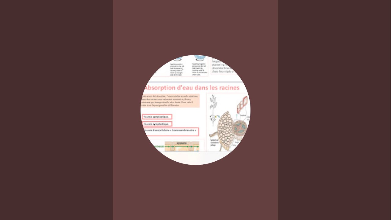 بث مباشر-ملخص1-nutrition.