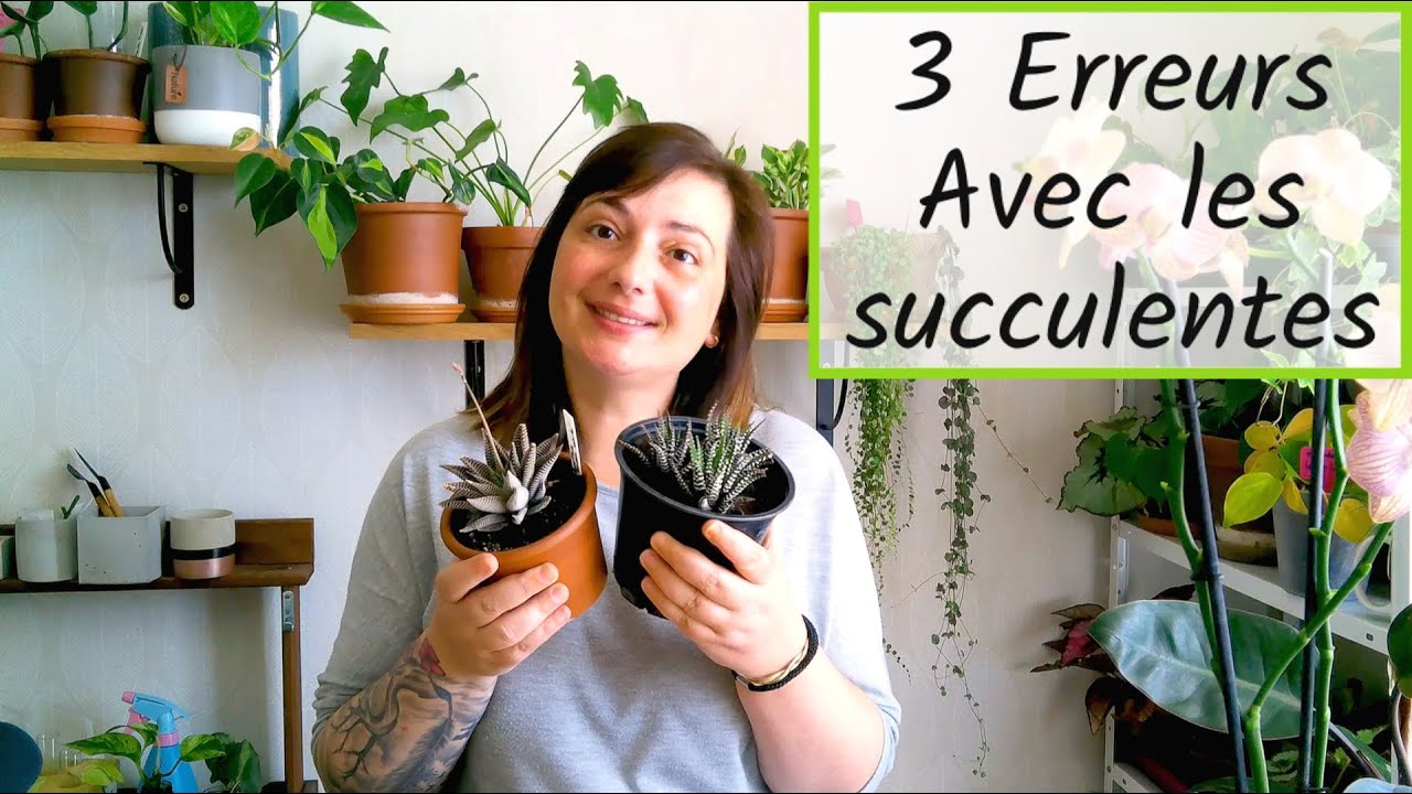 🌵3 Erreurs avec les Plantes Succulentes | PLANTES SUCCULENTES EN DANGER