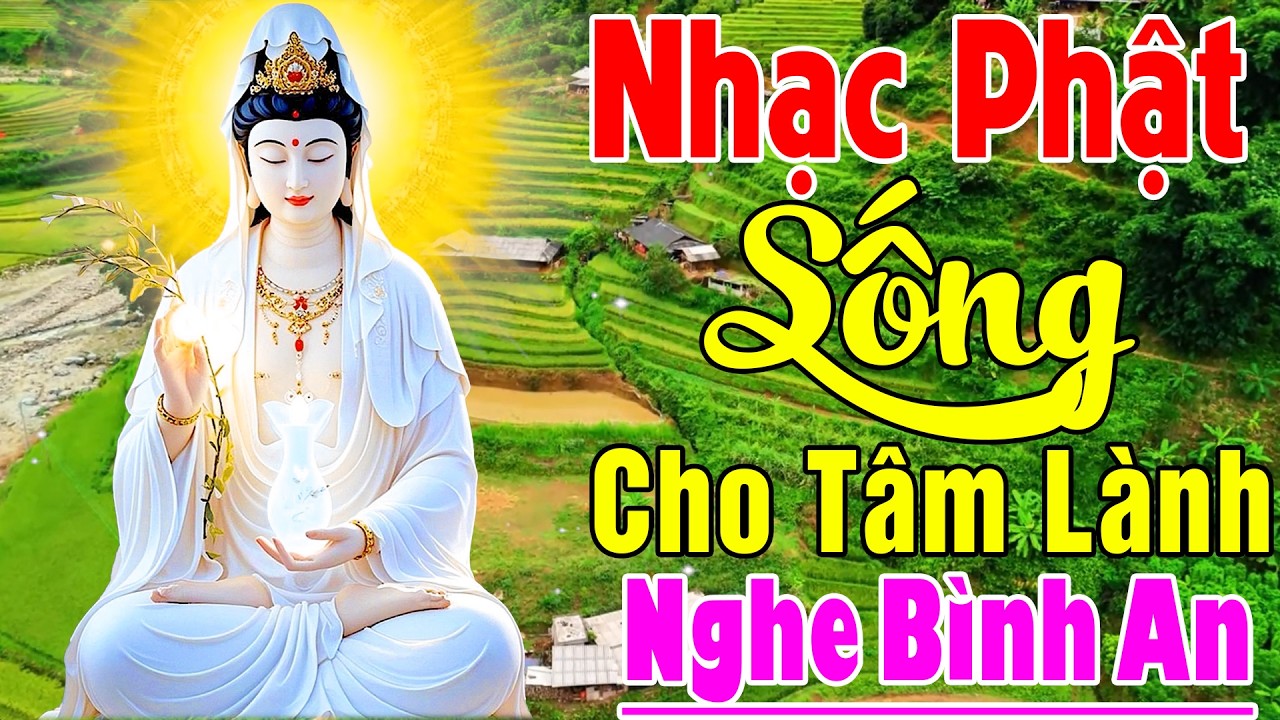Sống Cho Tâm Lành, Lạy Mẹ Quan Âm..LK Nhạc Phật Giáo Hay Nhất 2026 #Nguyện Cầu Bình An May Mắn
