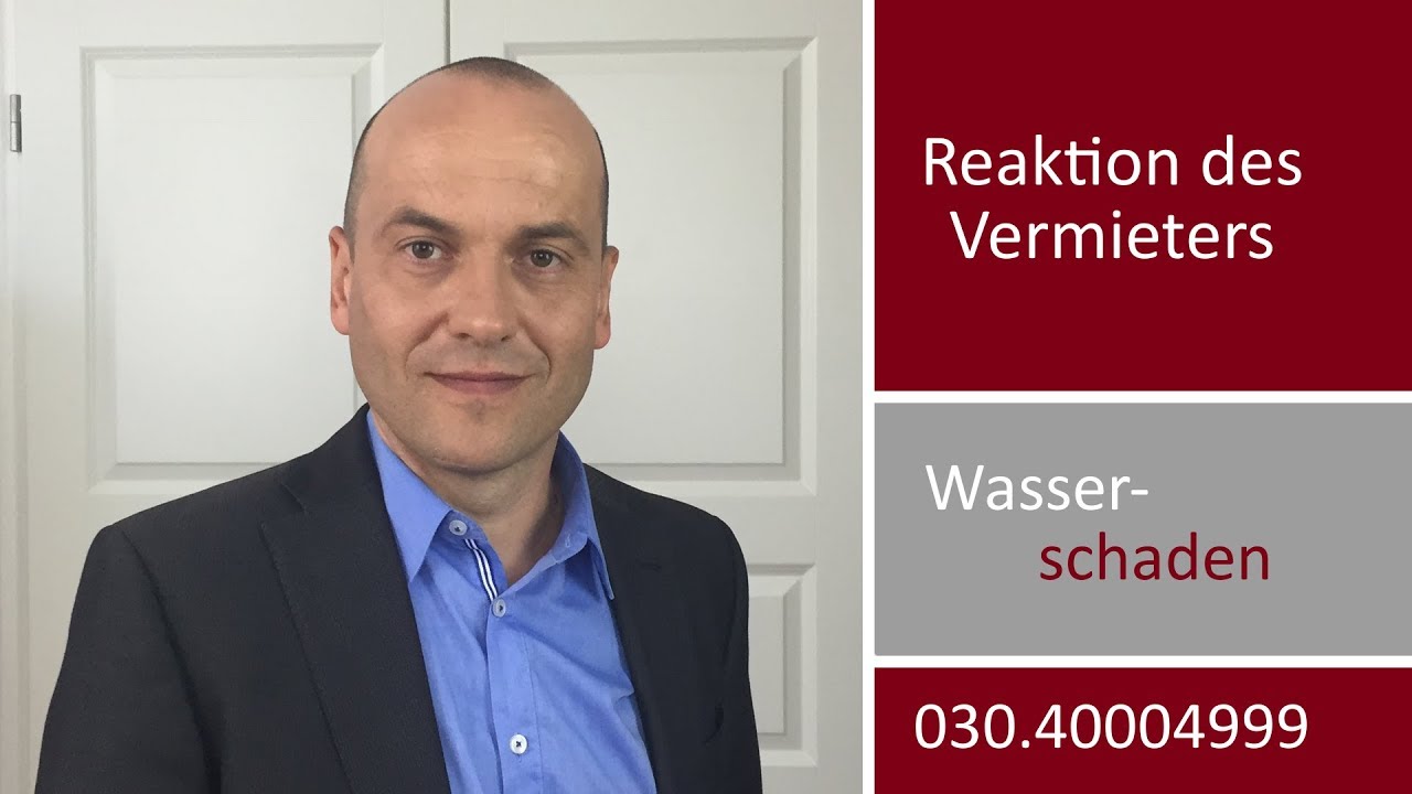 Wasserschaden in Mietwohnung IV - Reaktion des Vermieters auf Mängelanzeige