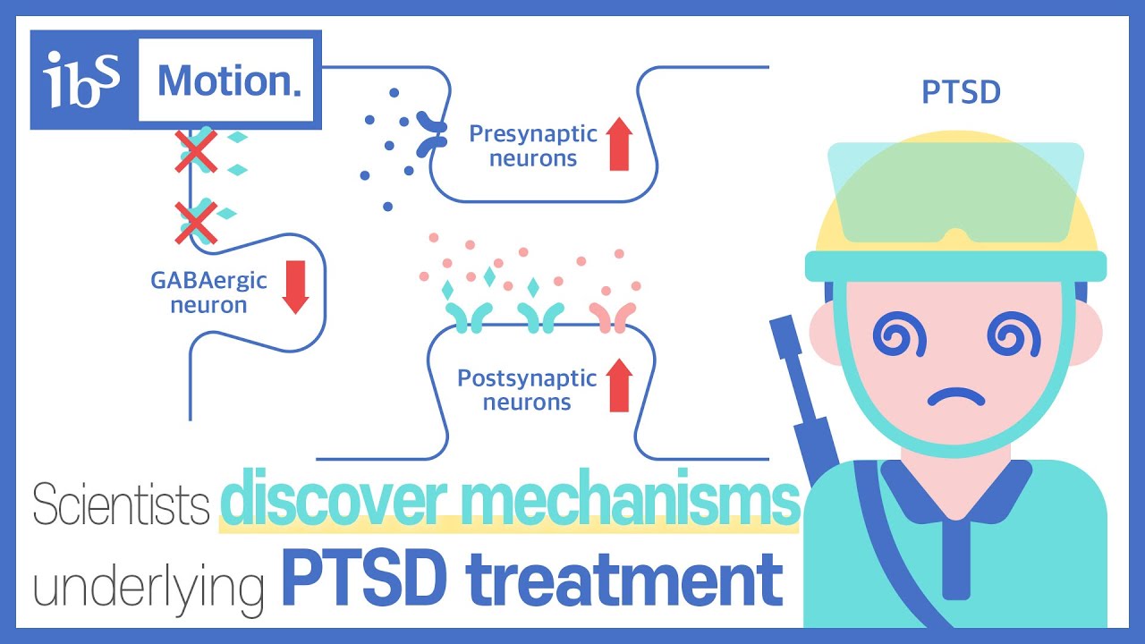 Mechanism of PTSD treatment has been discovered