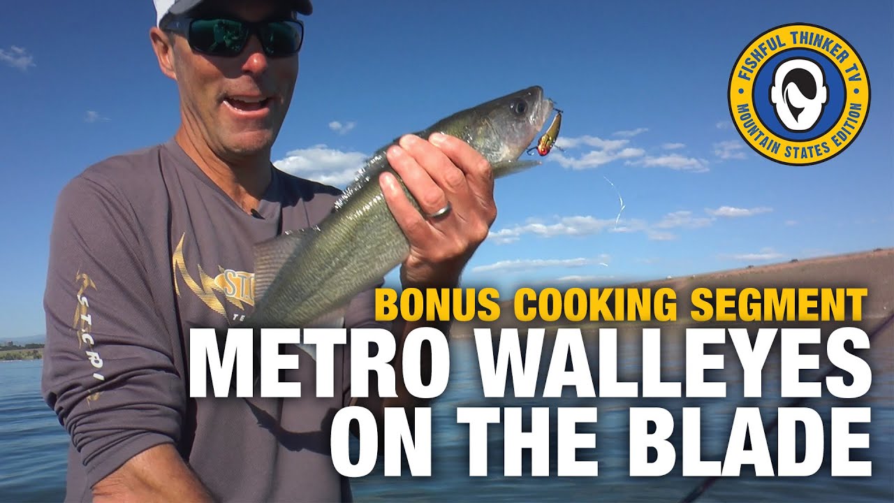 Blading Walleye (walleye fishing)