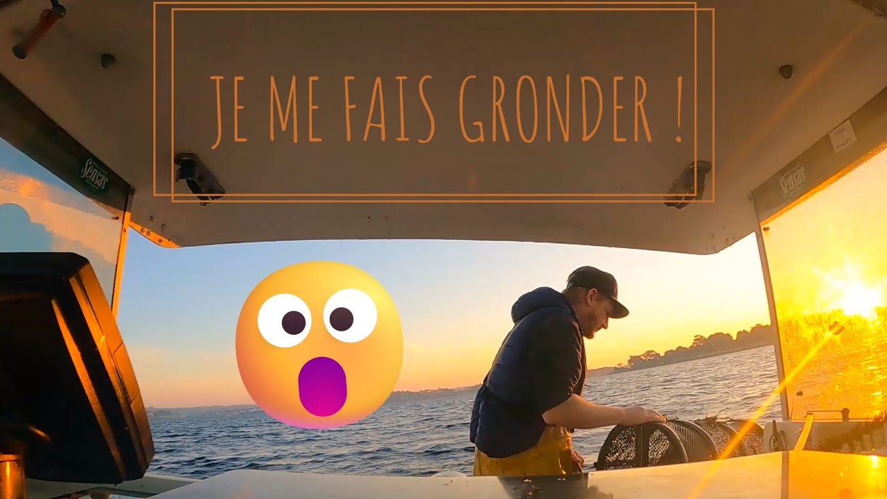 Saison 2025 / JOLI MULTI-ESPÈCES ! 🛥🎣🦐