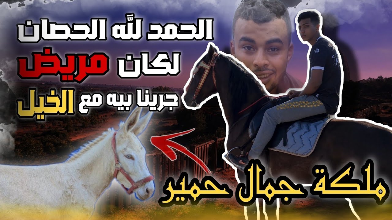جولة بحصان عاد من الموت 😢 في غابة بسكورة شوفوا كيفاش داز النهار مع لحباب...#تشويق/#مغامرة/#إثارة