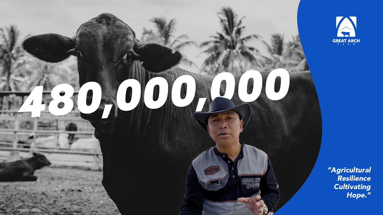 TOTAL BEEF CONSUMPTION, PRODUCTION, AND IMPORTS IN THE PHILIPPINES