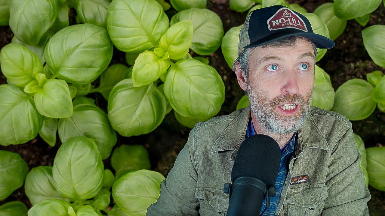 The Culinary Herbs Episode + Gardening Where Once Was a Pool?