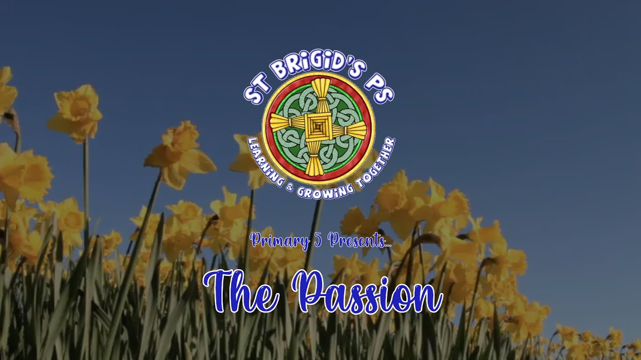 Primary 5 Passion Service | St. Brigid's Primary School Downpatrick