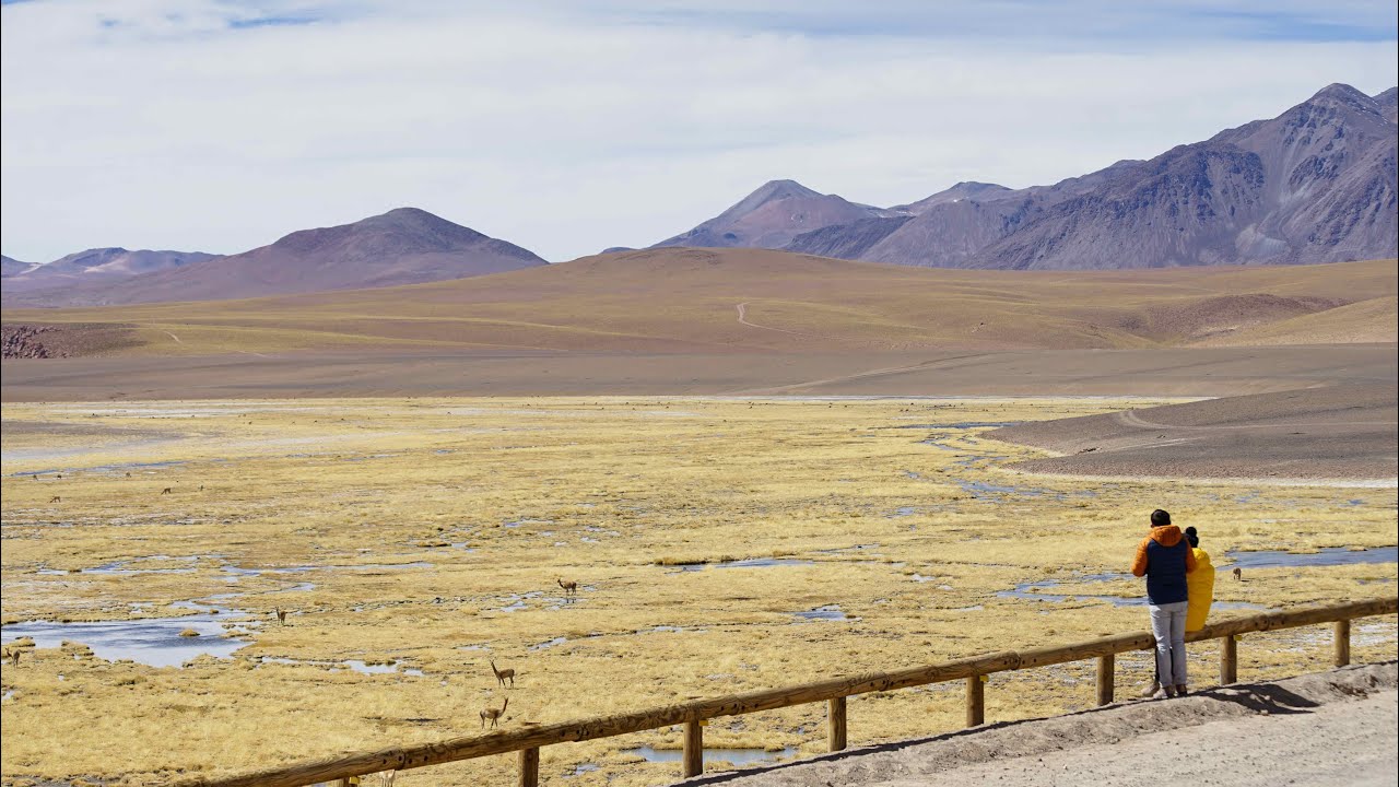 Geysers del Tatio | Atacama Desert