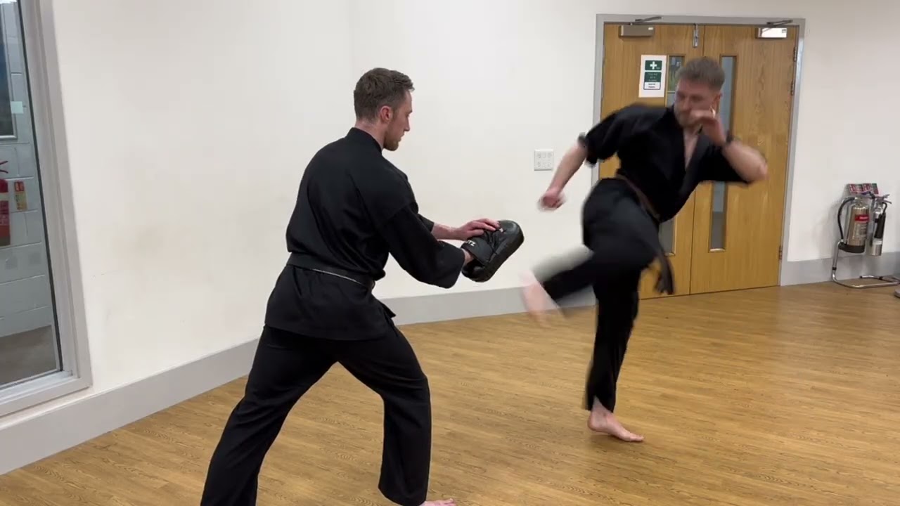 Tsugi Yoko Geri, Gyaku Tsuki