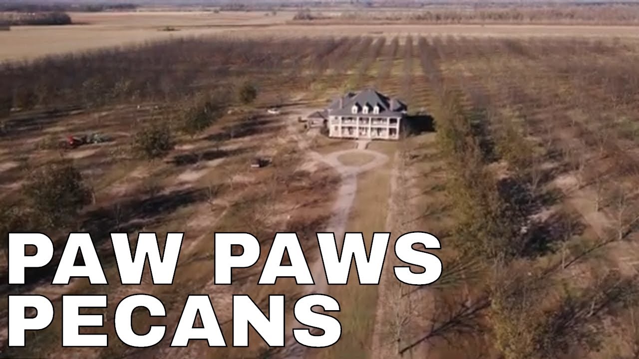 Paw Paws Pecans | Arkansas Farmers