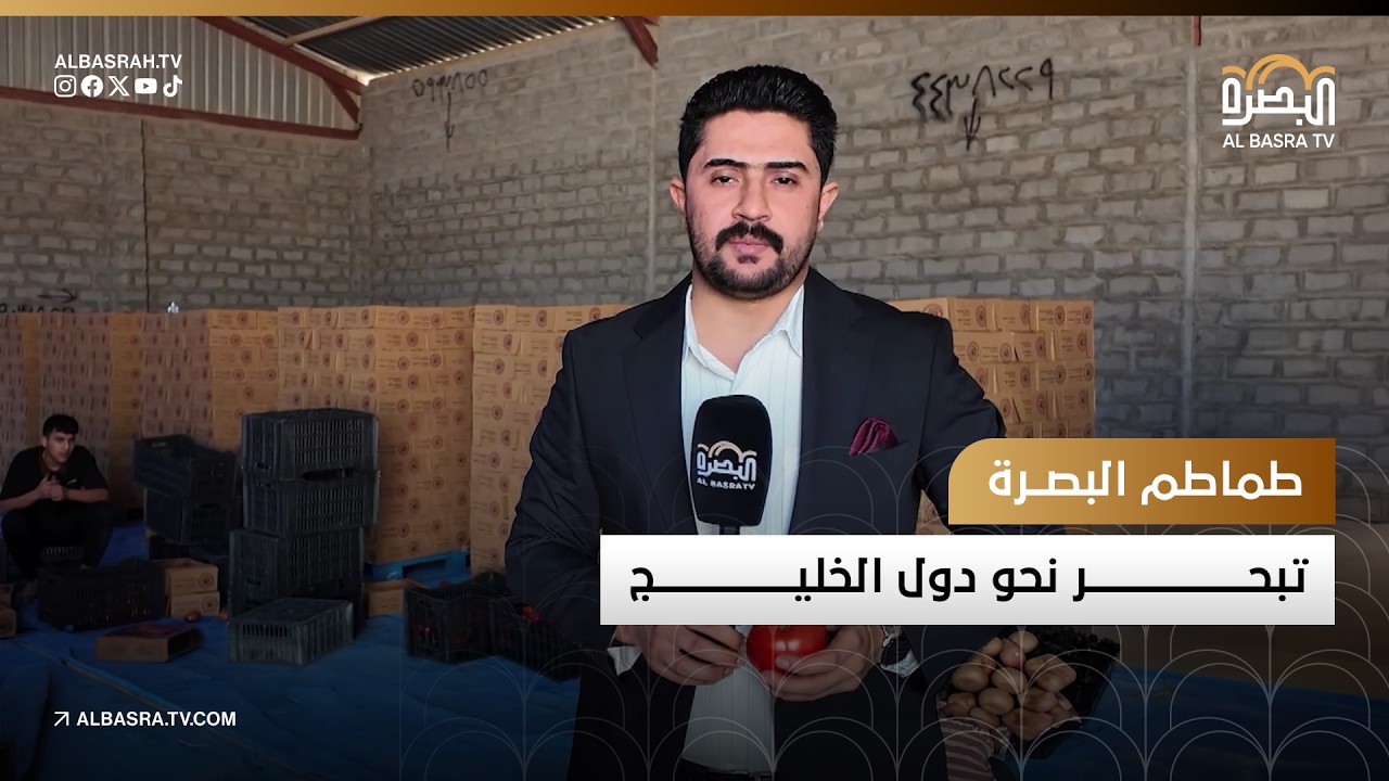 طماطم البصرة تبحر نحو دول الخليج