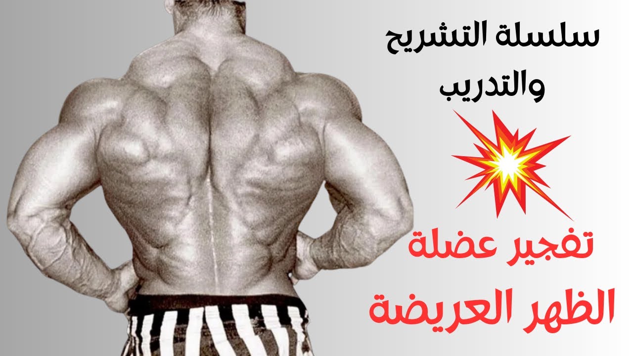 عضلة اللاتس - تفاصيل هتعرفك ازاي تمرنها صح - ظهر عريض