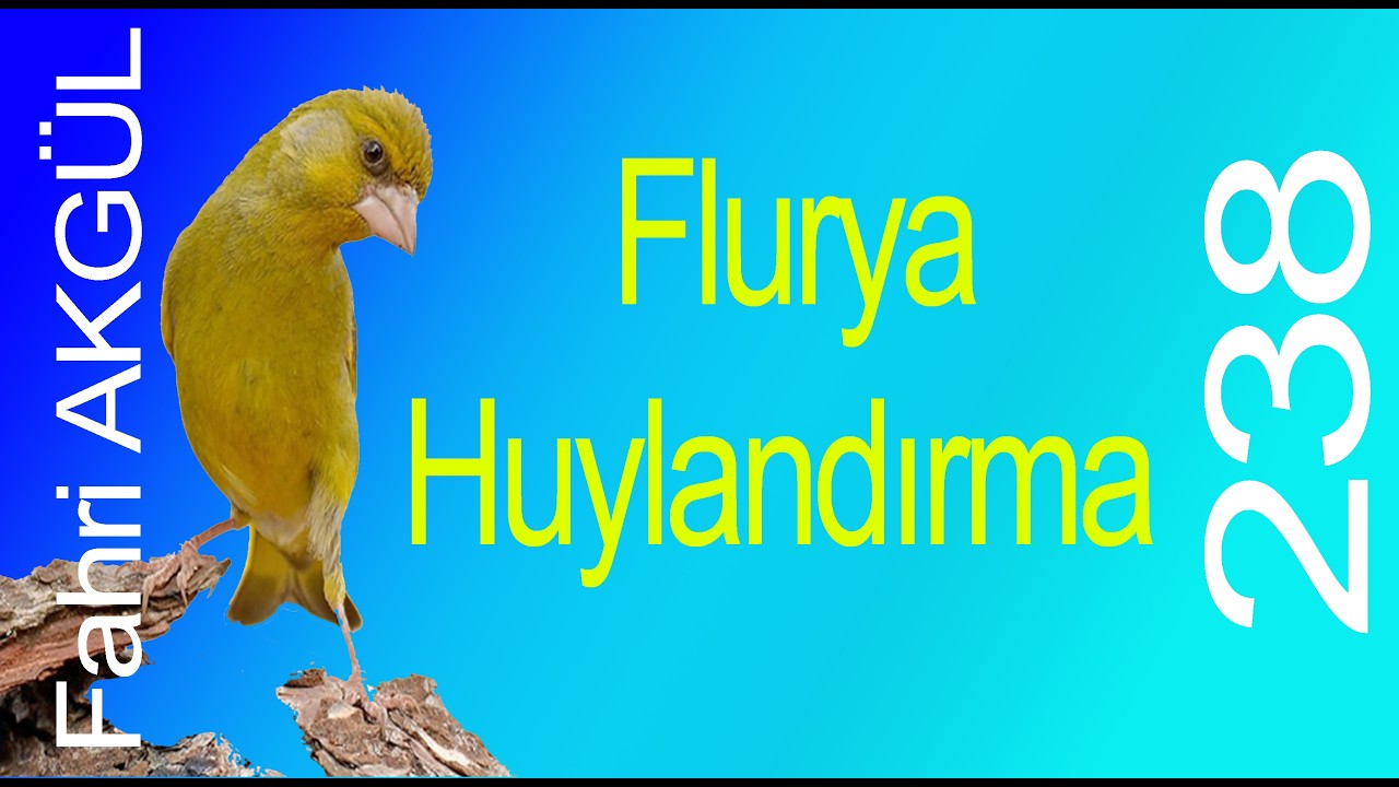 Fahri AKGÜL - Flurya Huylandırma 238