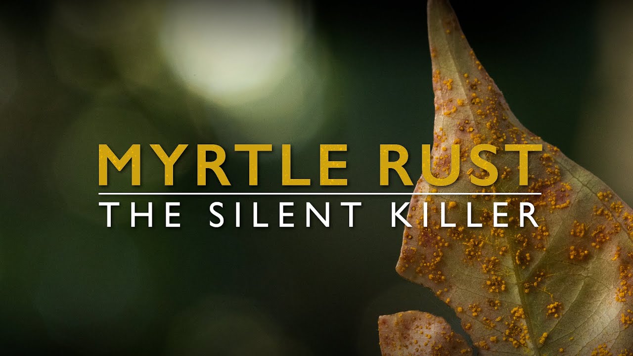TRAILER for Myrtle rust, the silent killer