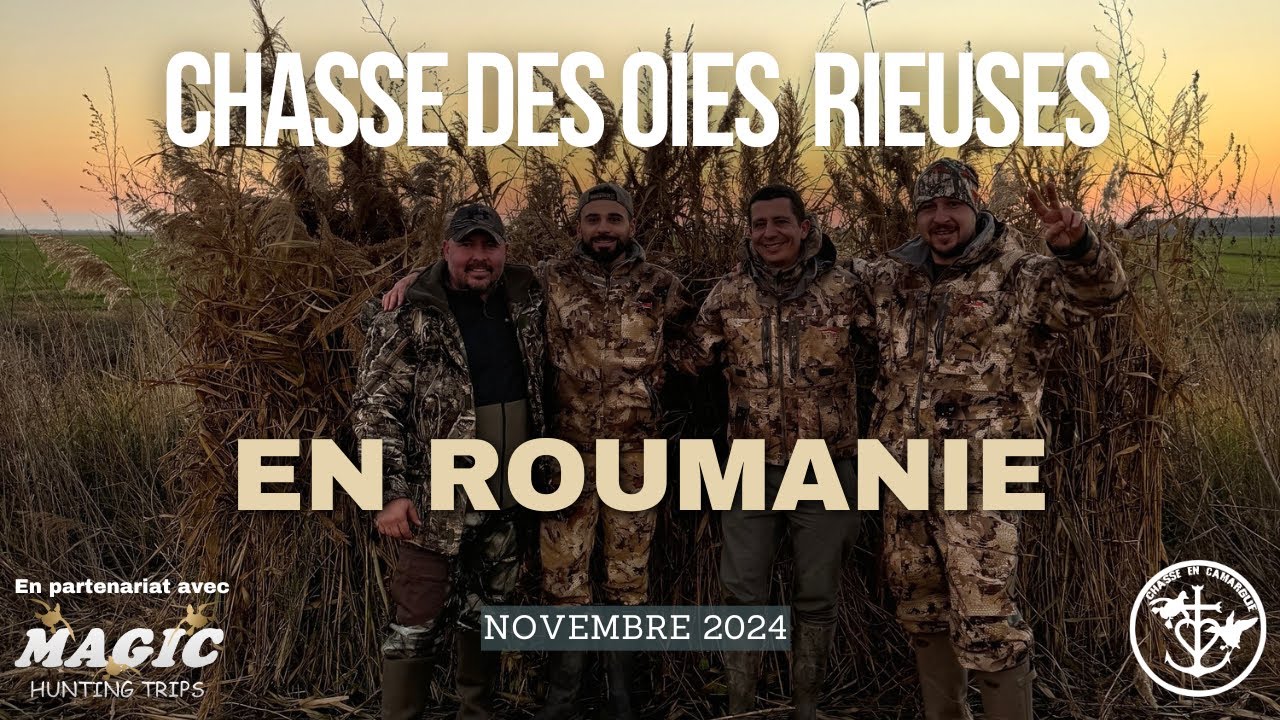 CHASSE DES OIES EN ROUMANIE - NOVEMBRE 2024