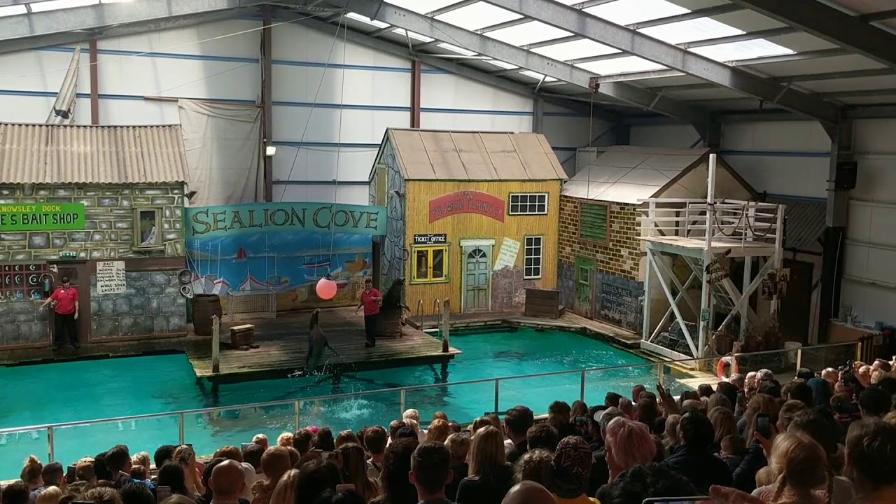 Knowsley Safari park...sea lion show