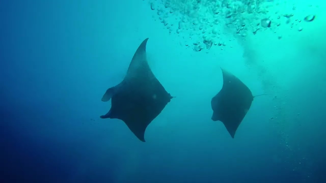 The sea, the magic, the Maldives