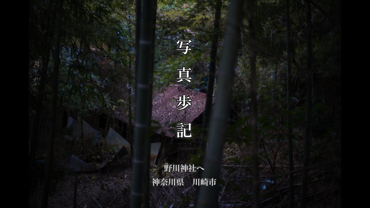 写真歩記037　野川神社へ