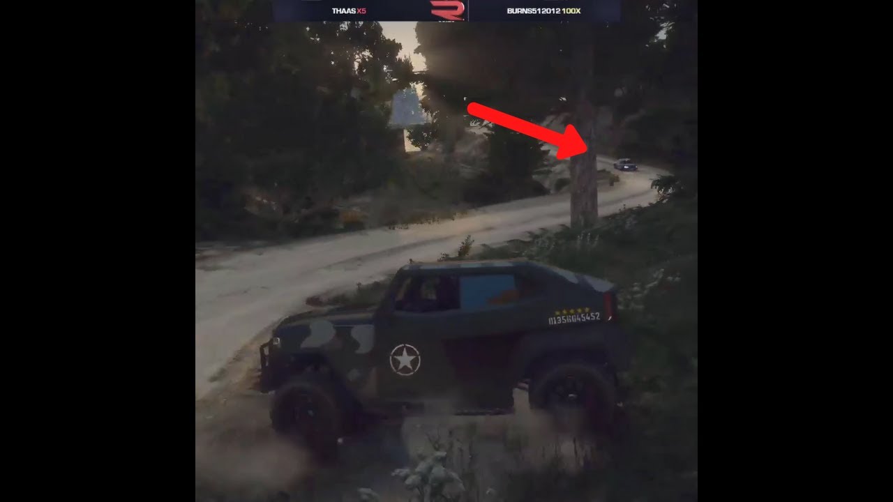 The Camouflage Worked!! 