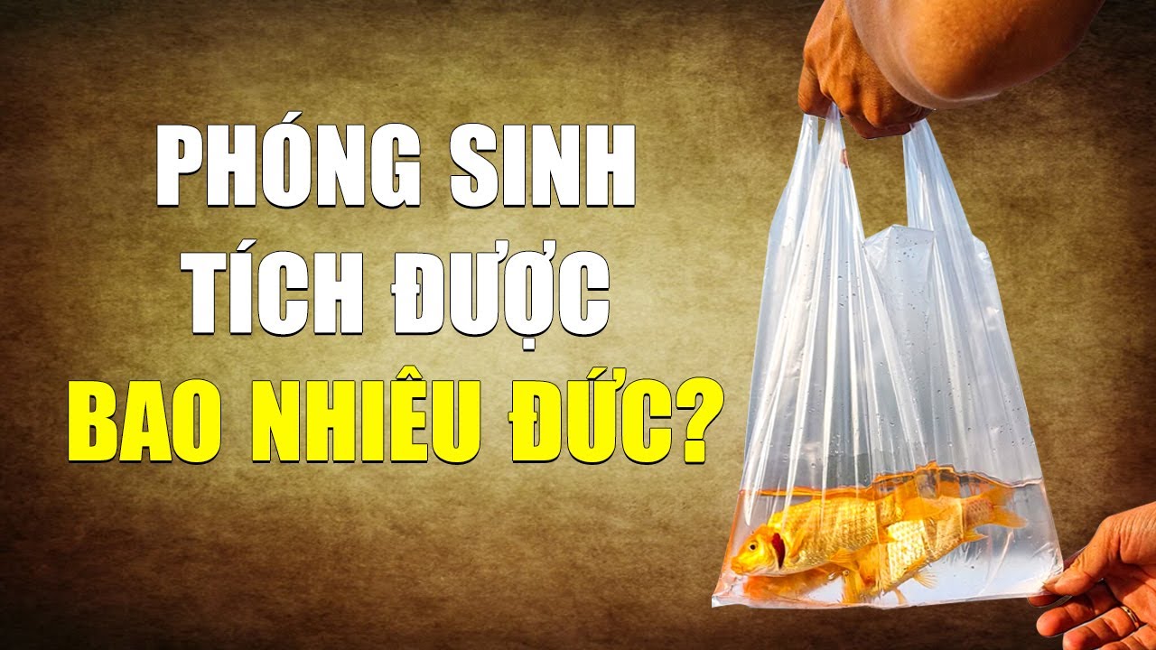 Ph&oacute;ng sinh: L&agrave; phước hay tội? | Tinh Hoa TV