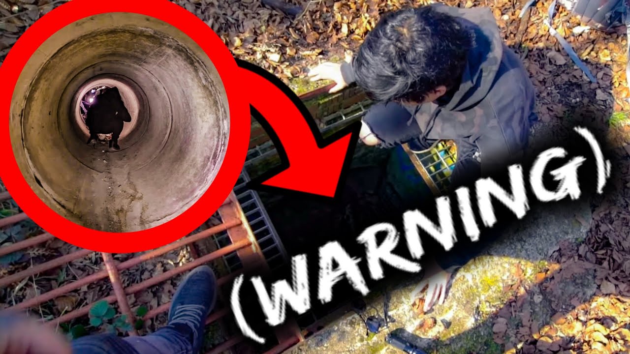 Deadly spider infested tunnel to secret underground rebel bunker