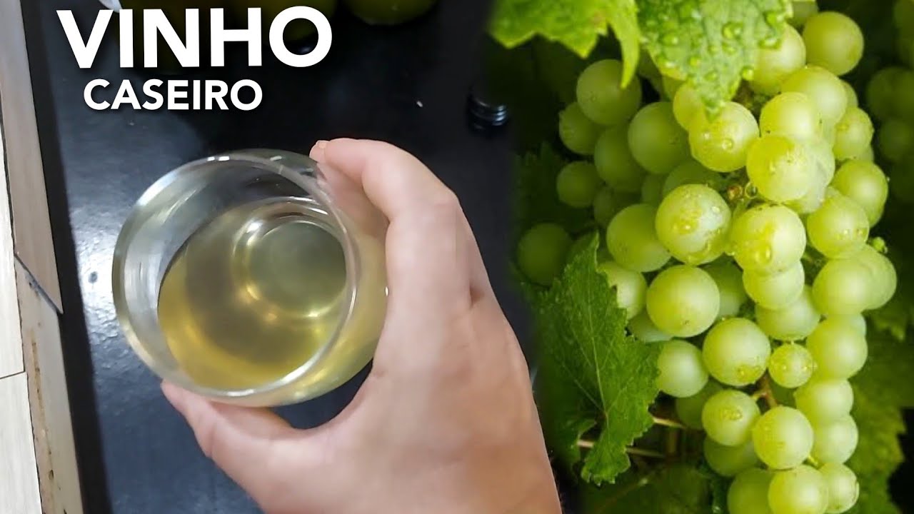 TODO O PROCESSO DE FAZER VINHO ARTESANAL CASEIRO 🍷