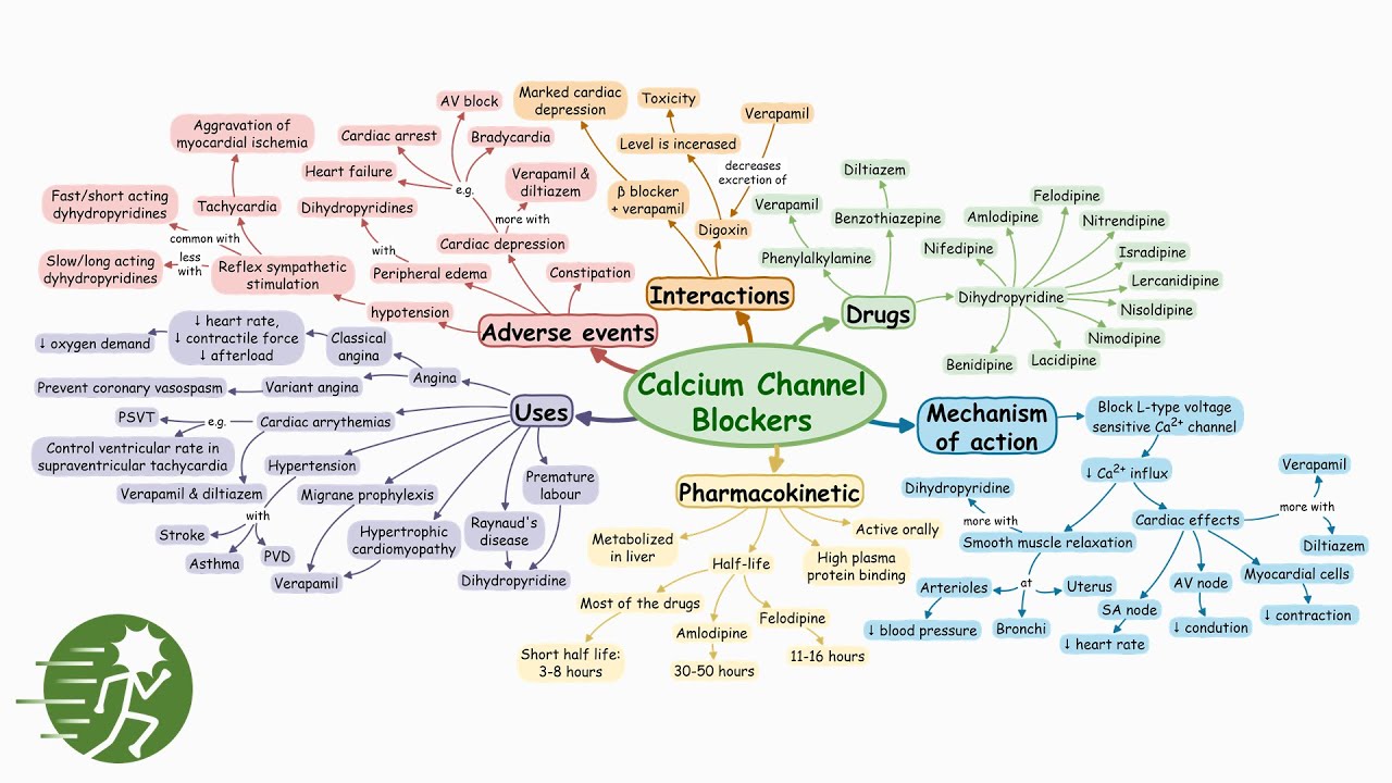 Calcium Channel Blockers | Mind map