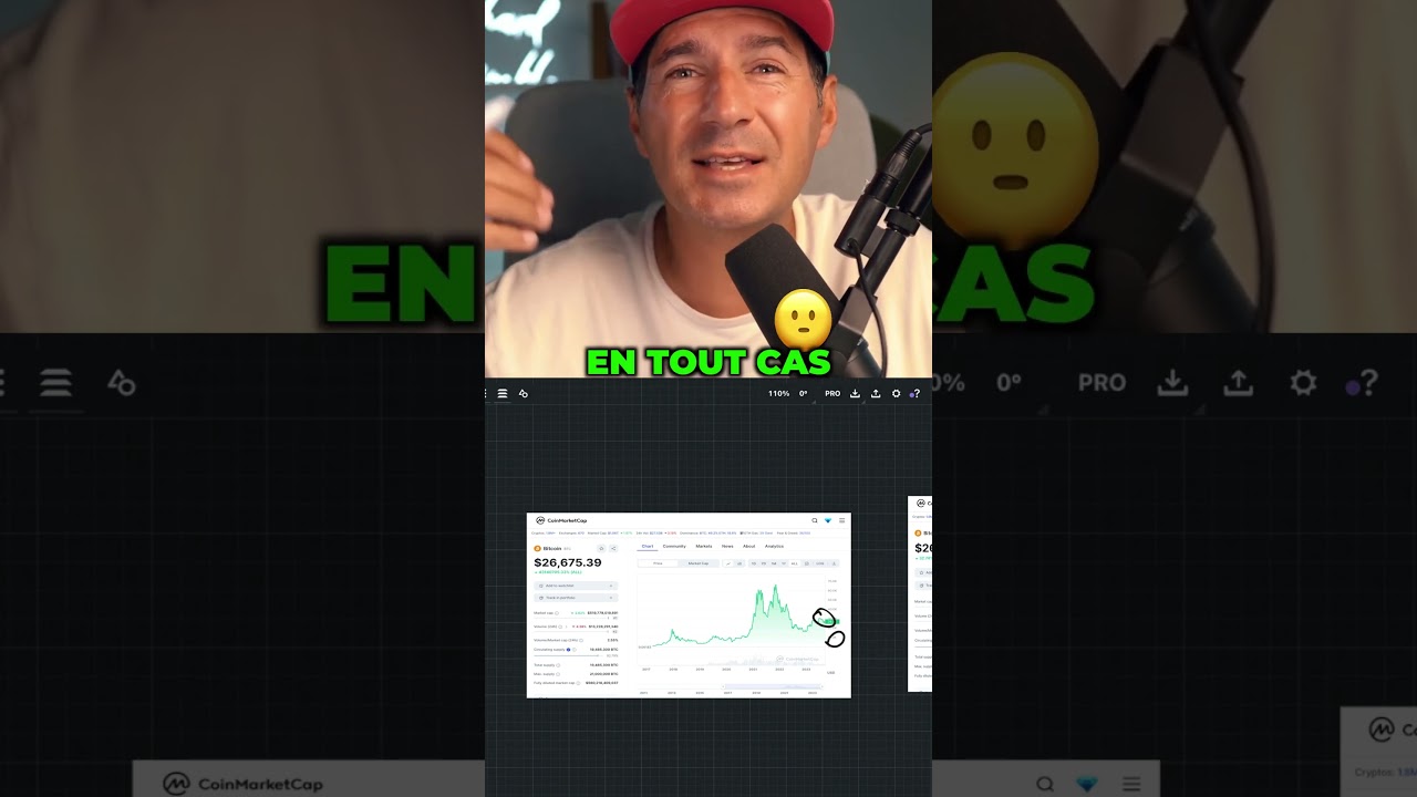 Ach&egrave;te du #bitcoin Aujourd'hui! Pourquoi?