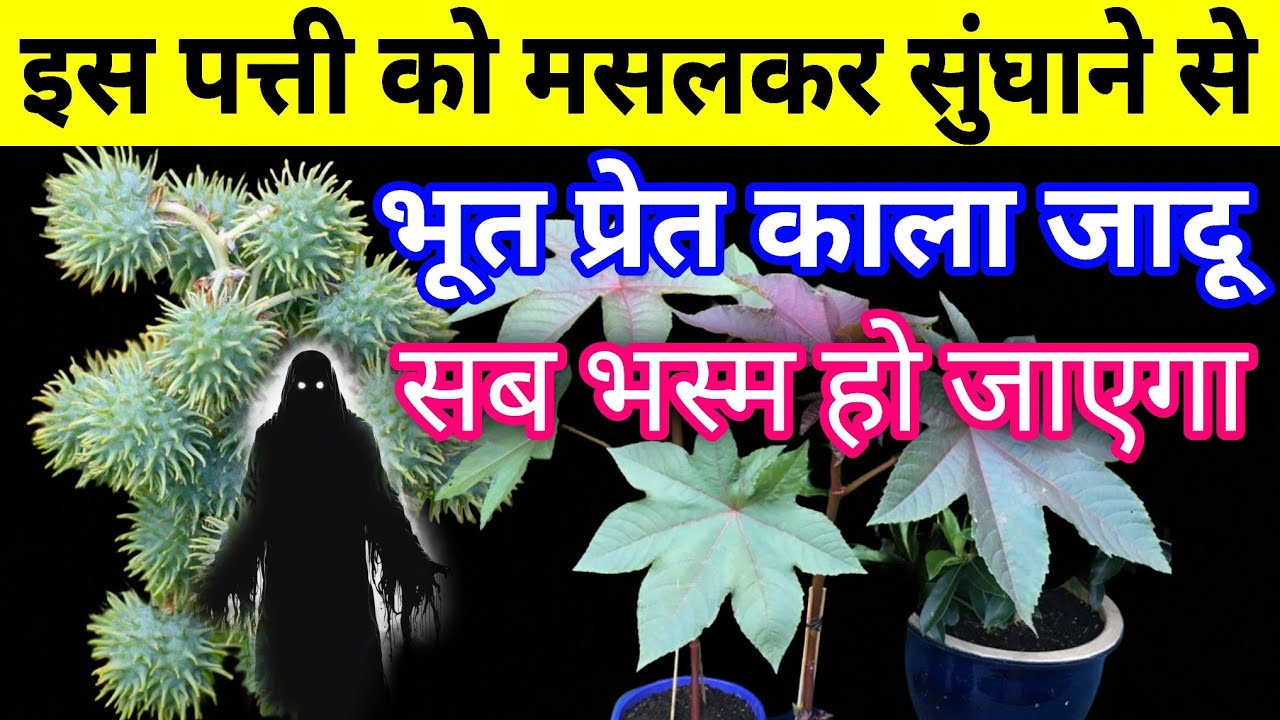 पत्ती मसलकर सुंघाने मात्र से भूत प्रेत छोड़कर भाग जायेगा// Vastu Shastra Pret atma kaise dur karte h