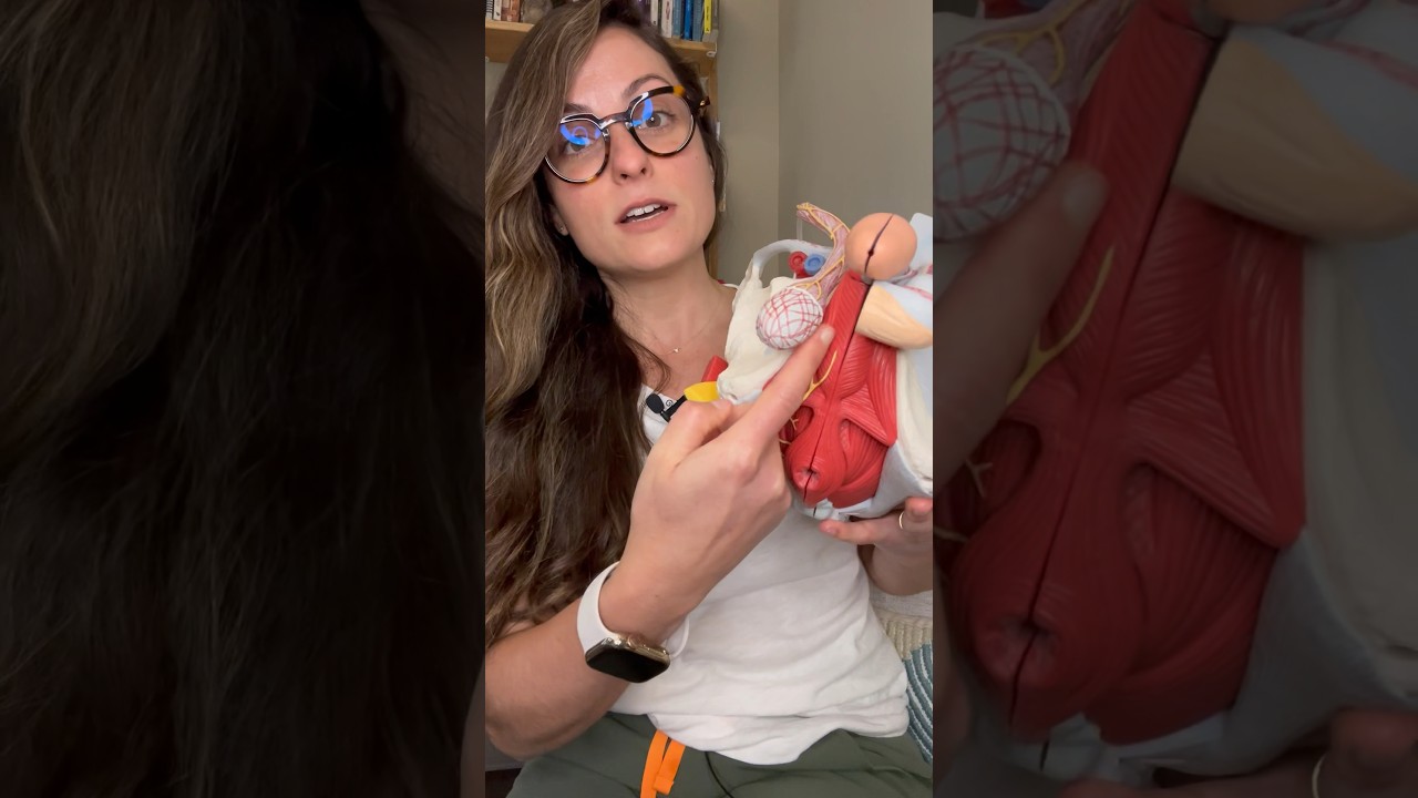 Why does my penis hurt?! 🍆 Watch this video! #pelvicfloor #pelvicpain #pelvichealth