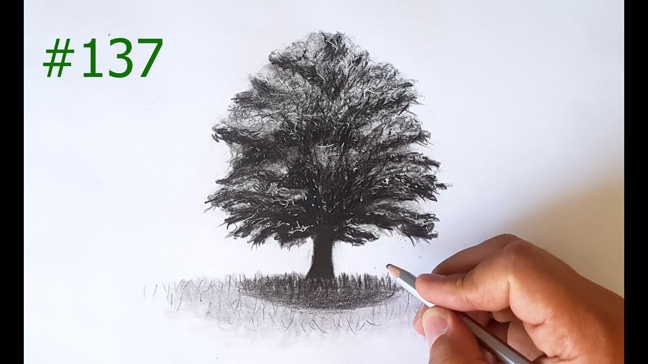AĞAÇ NASIL ÇİZİLİR / KARAKALEM AĞAÇ ÇİZİMİ (HOW TO DRAW TREES) #137