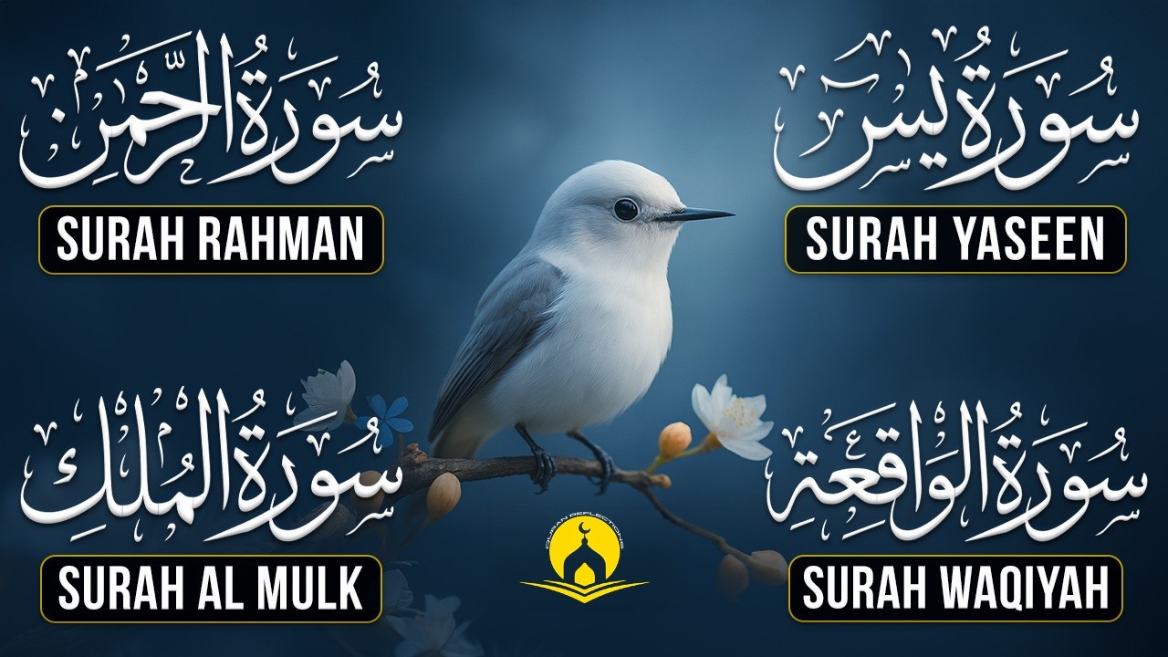 Very Nice Voice Surah Yaseen | Surah Rahman | Surah Waqiah | Surah Mulk l Reciter Ashraf Hussain 112