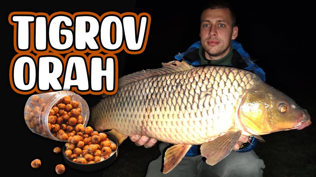 SVE O PECANJU NA TIGROV ORAH