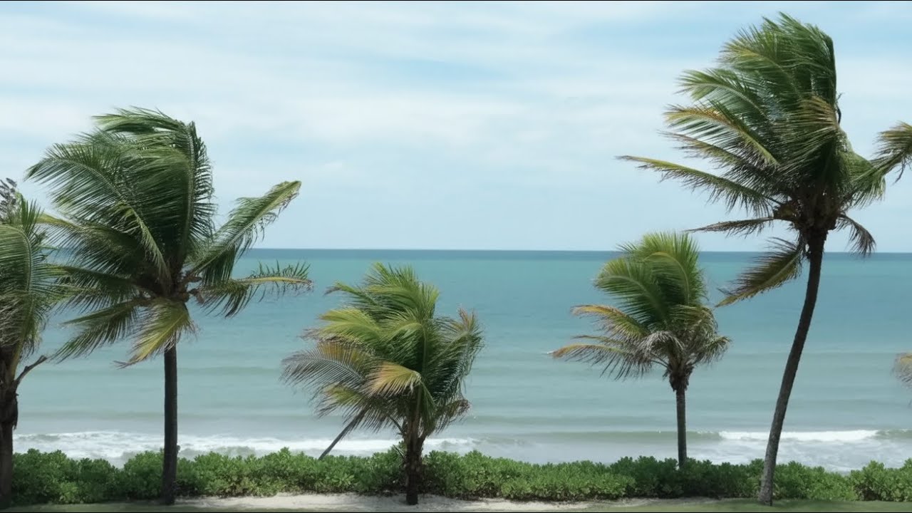 TRANSFORMING PRAYER TO CALM LIFE'S STORMS: 3 BLESSED PROMISES FROM PSALM 23 REVEALED
