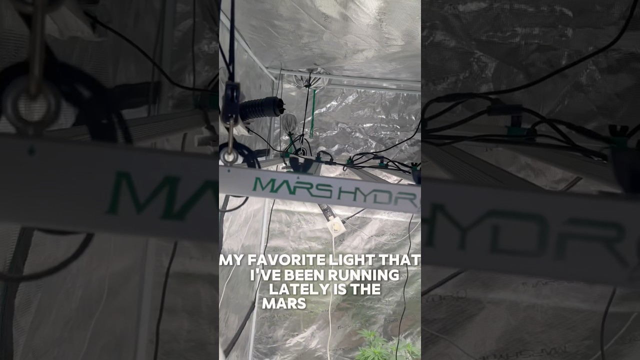 Not Gon Cap Mars Hydro FC8000 Evo Go Hard 💪🏾😮&zwj;💨 #goodbudsgenetics #marshydroreview