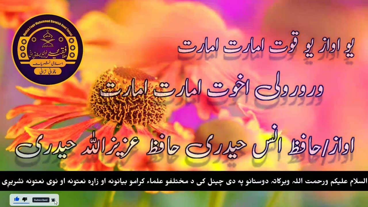حافظ انس حیدری | انس حیدری نوی ترانی | انس حيدري ترانې |انس حيدري  | Hafiz Anas Haidari | Episode 51