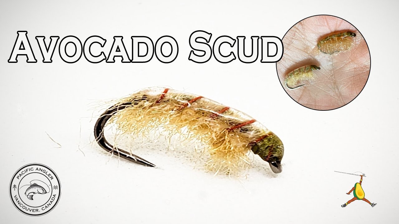 How to Tie The Avocado Scud Pattern // Pacific Angler Fly Tying