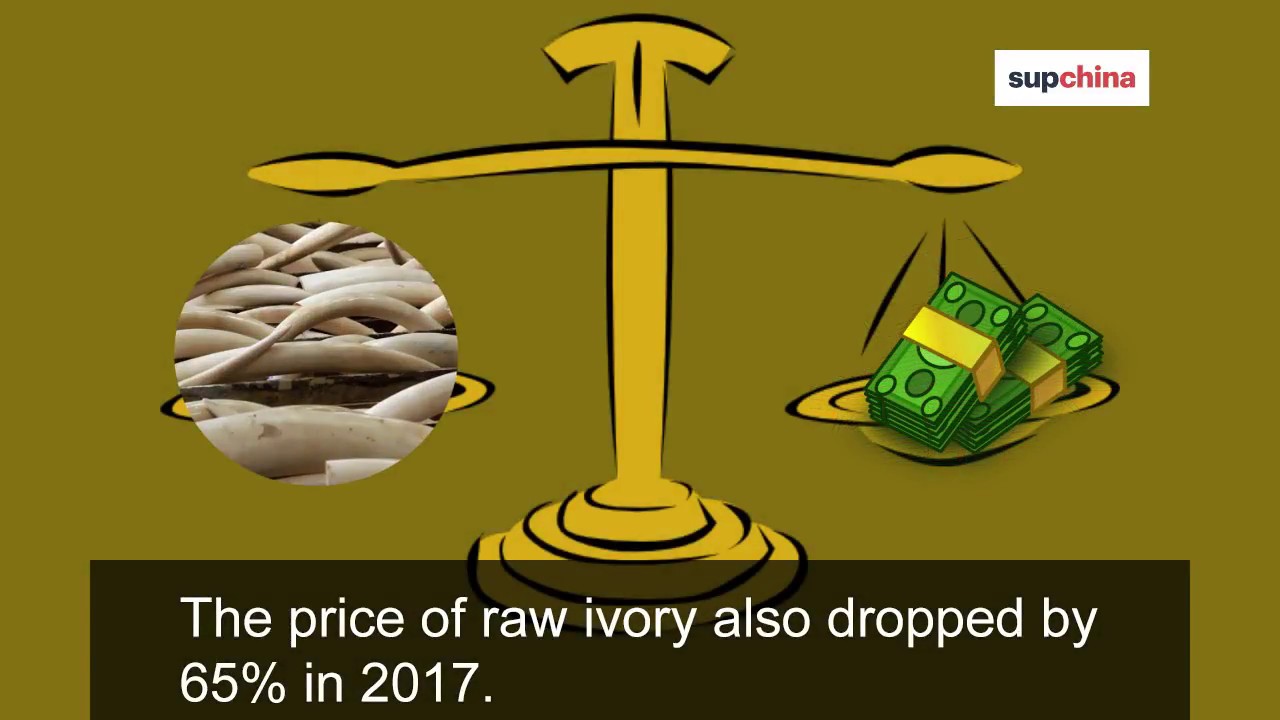China’s ivory trade ban takes effect
