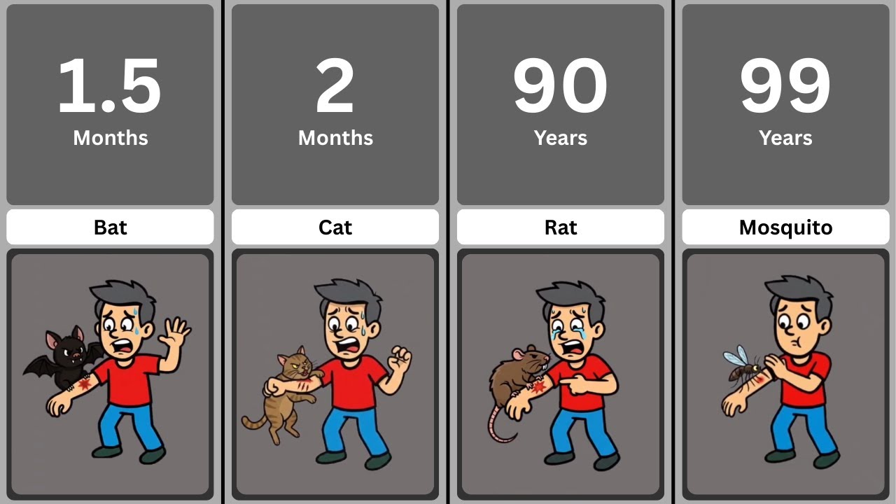 How Long Human Can Survive In _____ Bites (Without Treatment)