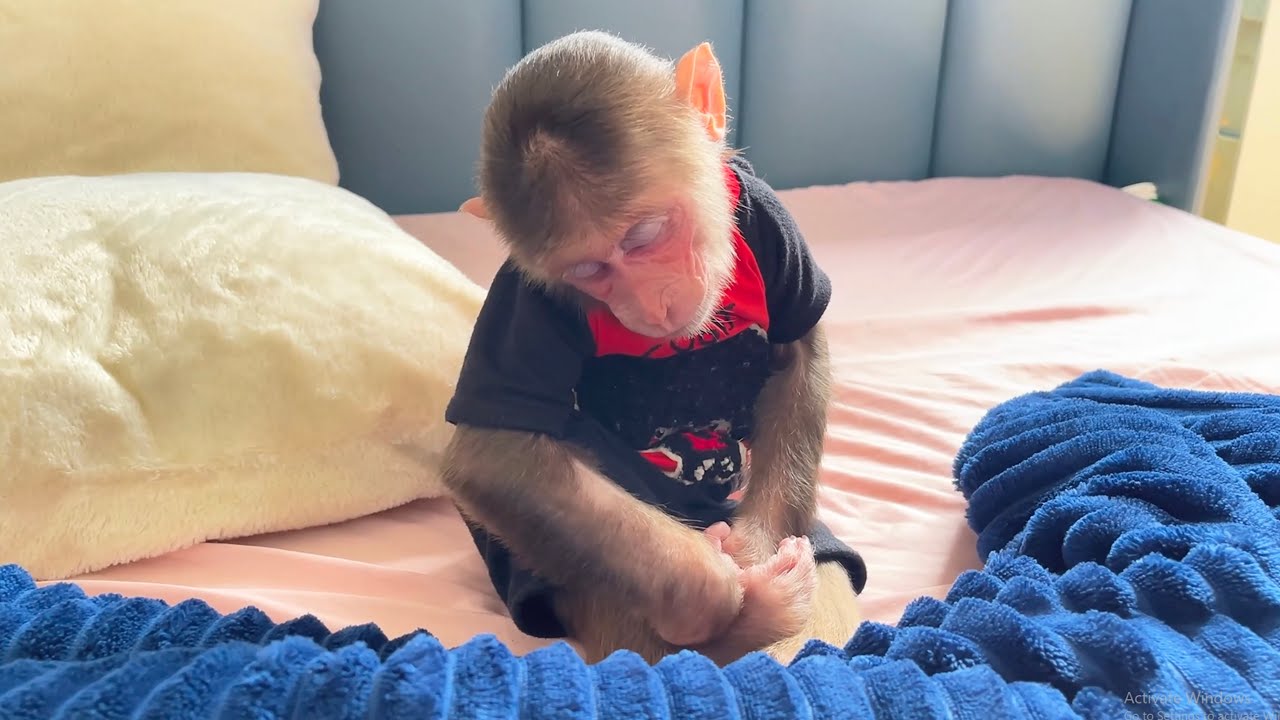 Too Cute! CUBIS’ Sleepy Moment Makes Everyone Smile