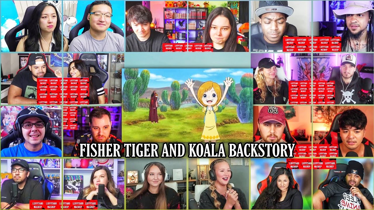 Fisher Tiger and Koala Backstory Reaction Mashup | One Piece Episode 541-543