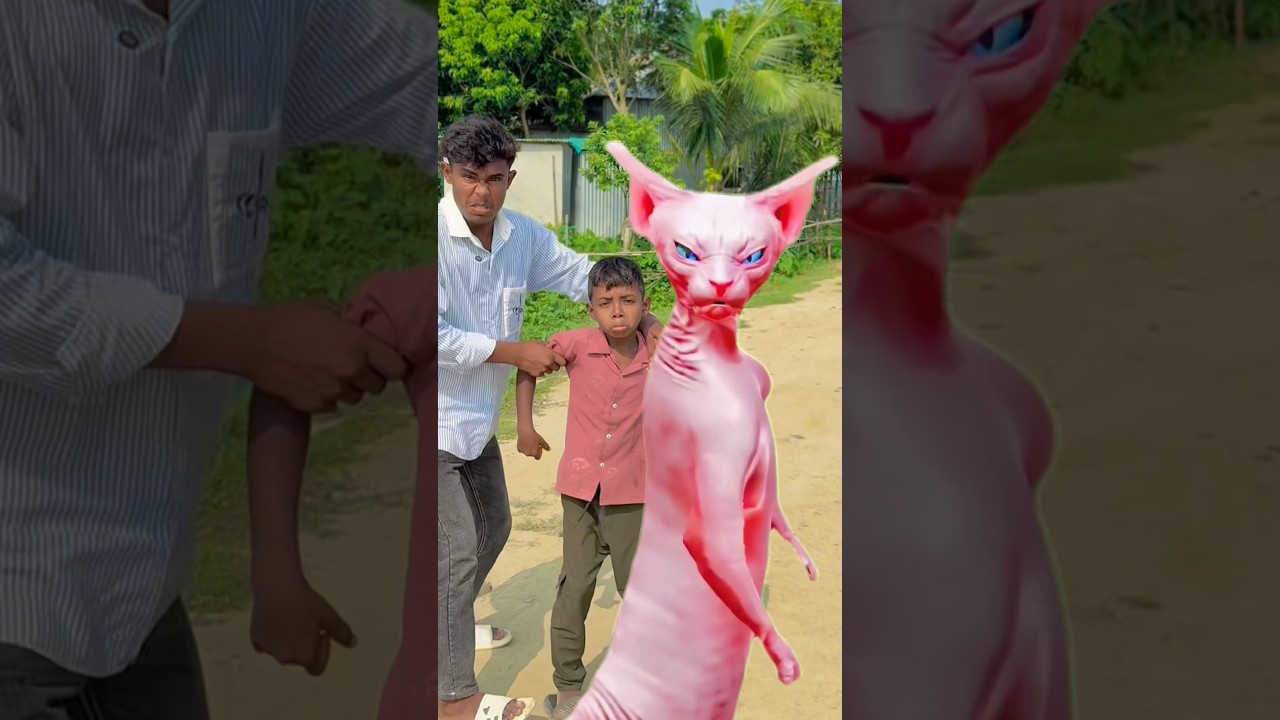 Raju & Brother&rsquo;s Funny Dance with a Cat! 🐱🤣 #shorts #rajurvideo #funny #viral