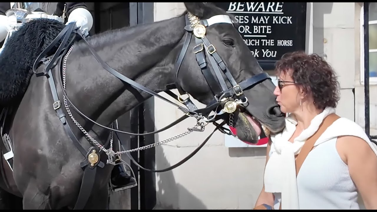 Ormonde DOESN'T DO KISSES.  ORMONDE Almost Got her.