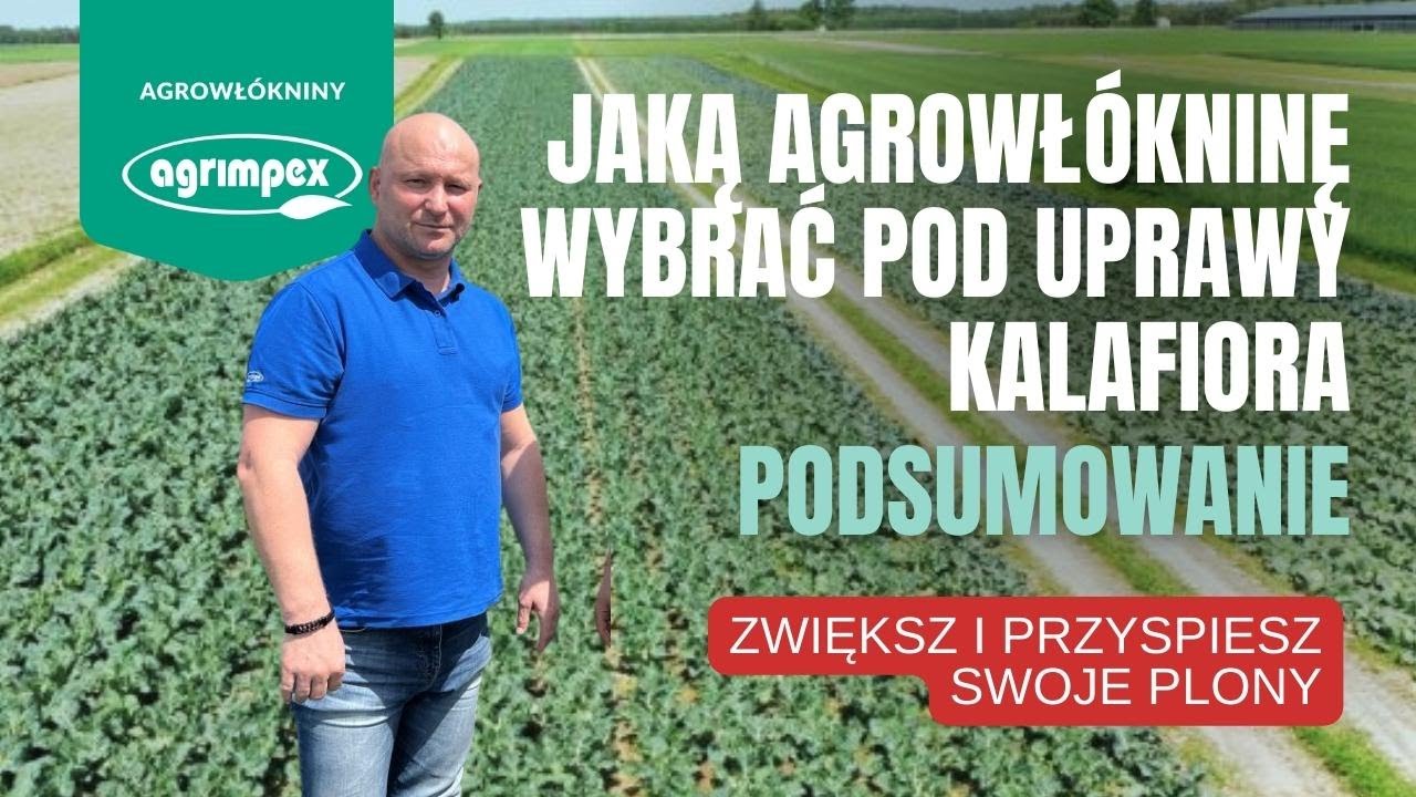 Jaka jest najlepsza Agrowłóknina osłaniająca pod uprawy kalafiora